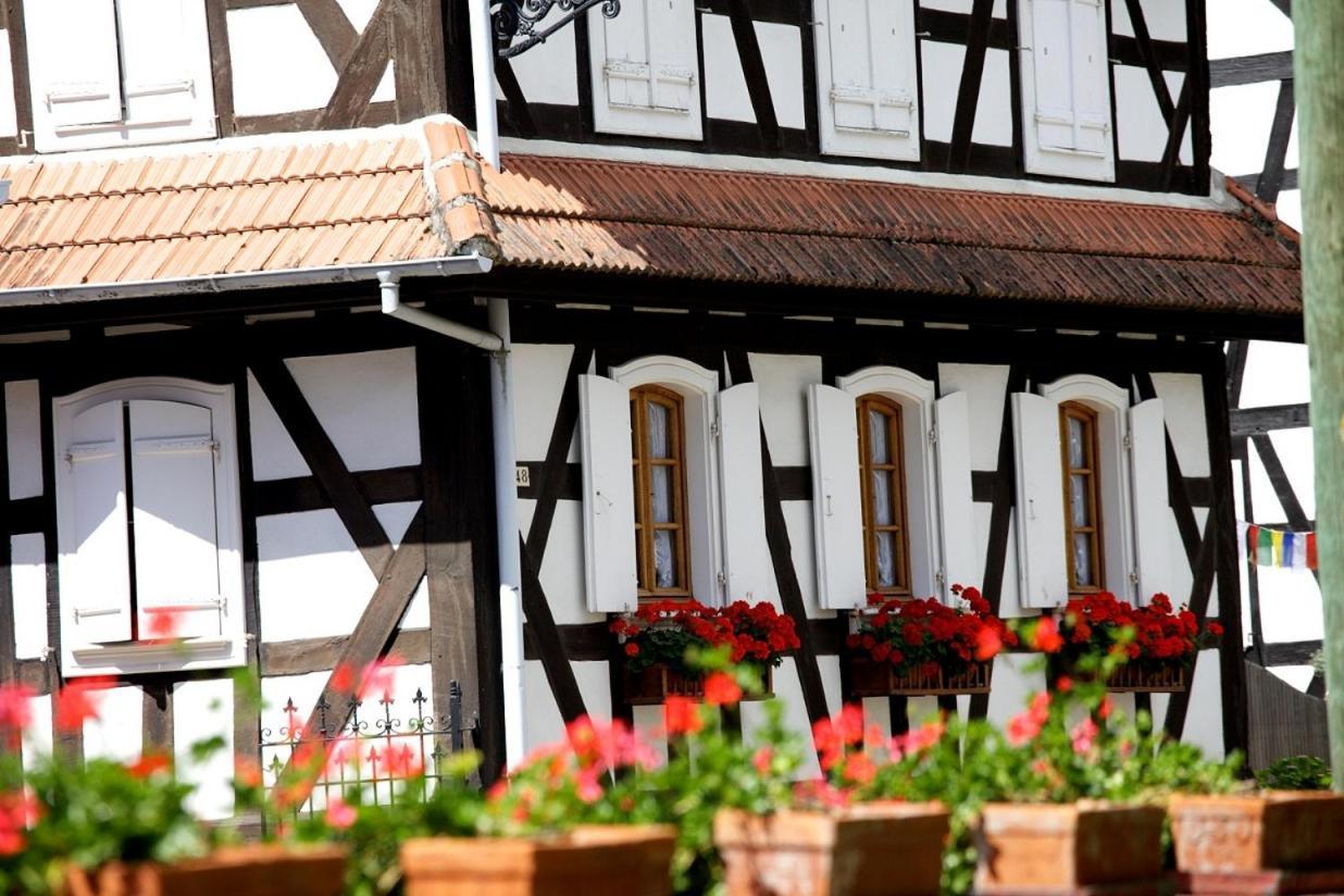 Gites Et Chambres D'Hotes Maison Ungerer Hunspach Dış mekan fotoğraf
