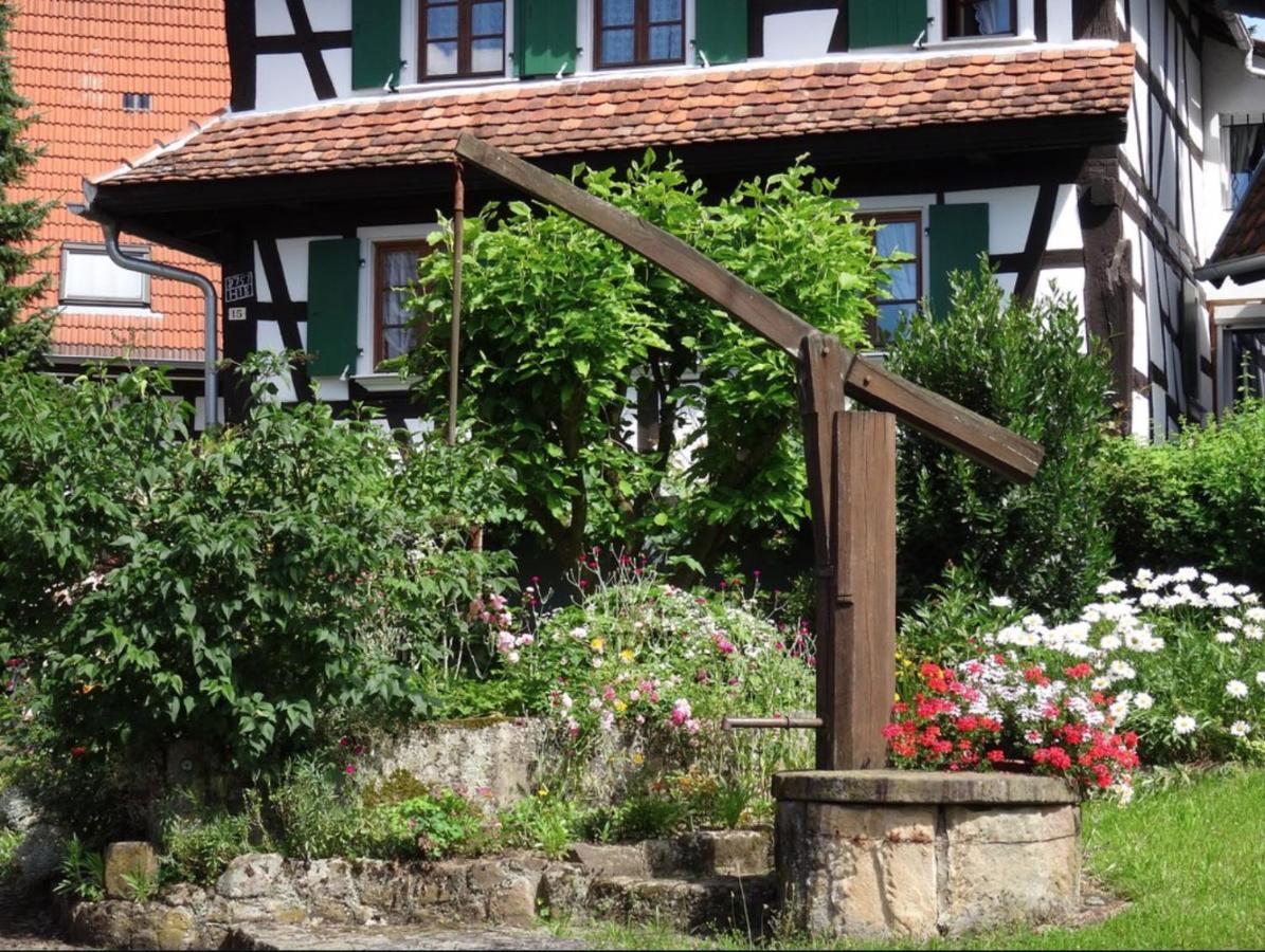 Gites Et Chambres D'Hotes Maison Ungerer Hunspach Dış mekan fotoğraf