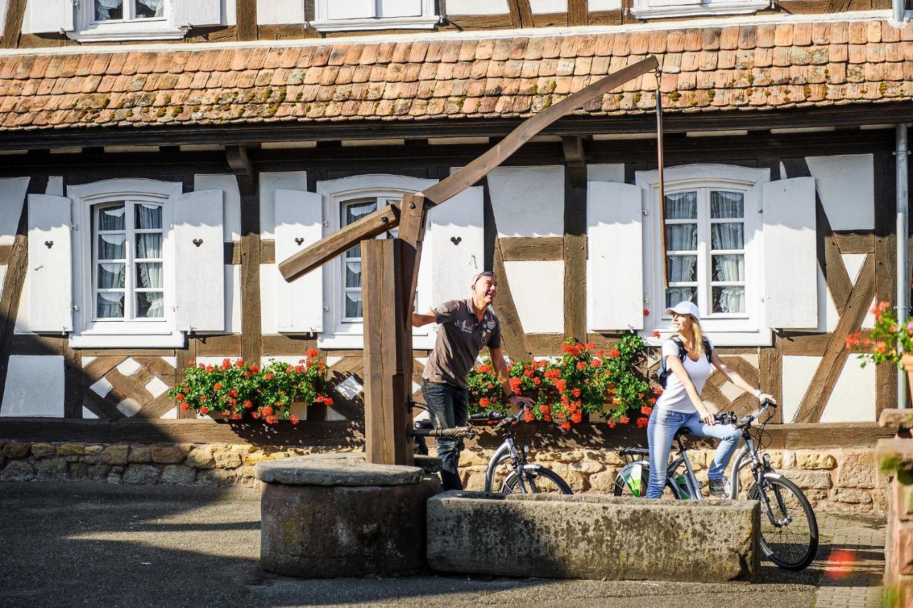 Gites Et Chambres D'Hotes Maison Ungerer Hunspach Dış mekan fotoğraf