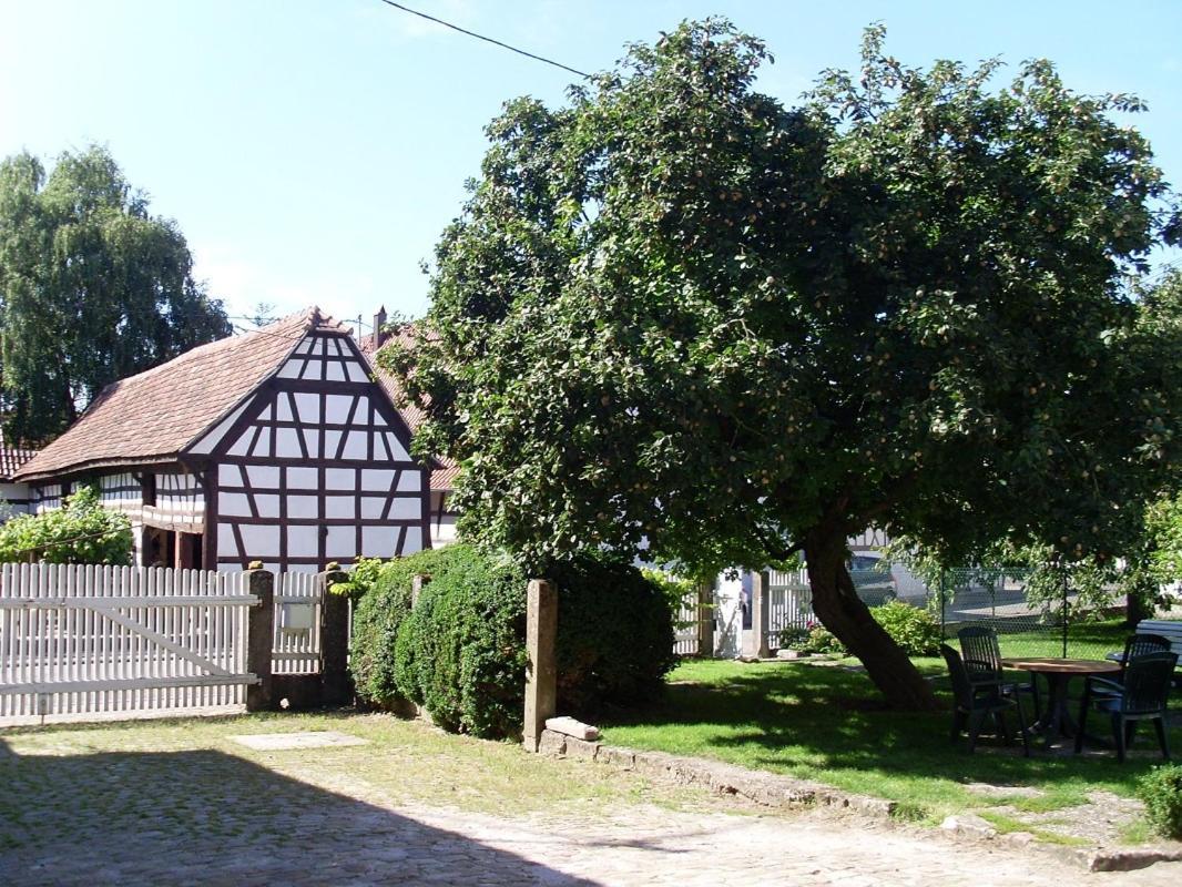 Gites Et Chambres D'Hotes Maison Ungerer Hunspach Dış mekan fotoğraf