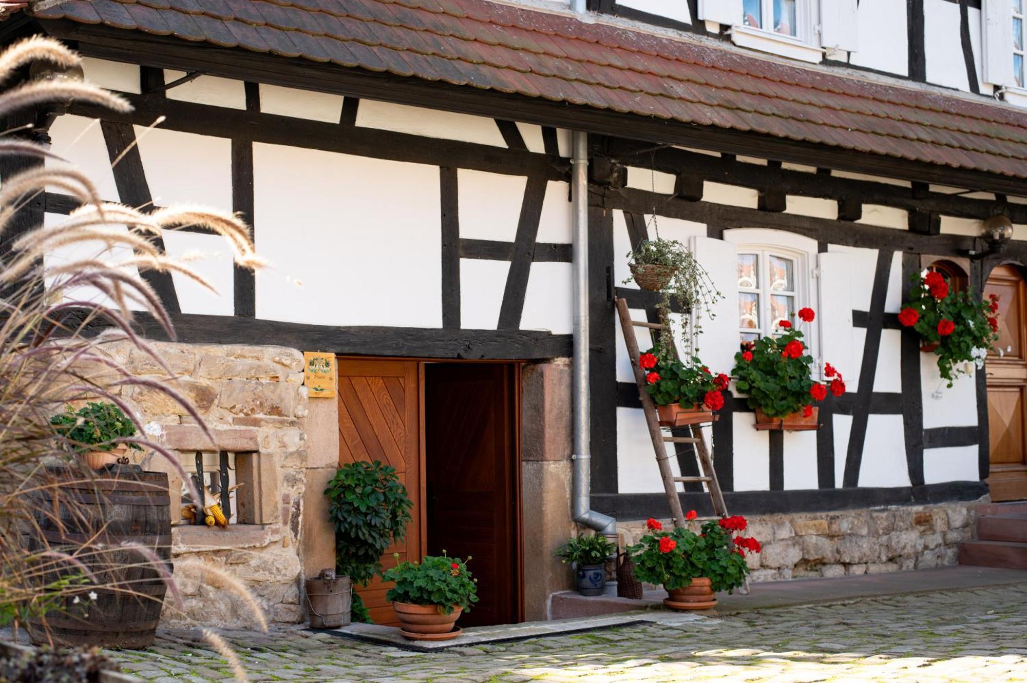 Gites Et Chambres D'Hotes Maison Ungerer Hunspach Dış mekan fotoğraf