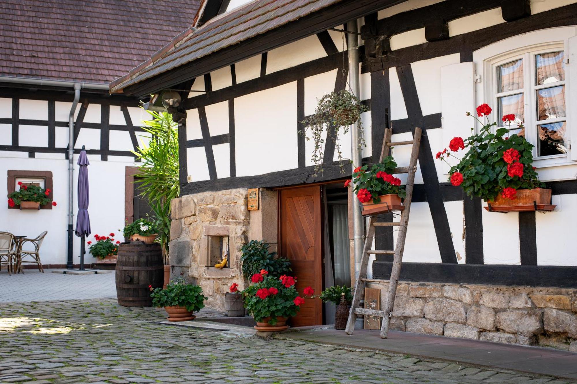 Gites Et Chambres D'Hotes Maison Ungerer Hunspach Dış mekan fotoğraf